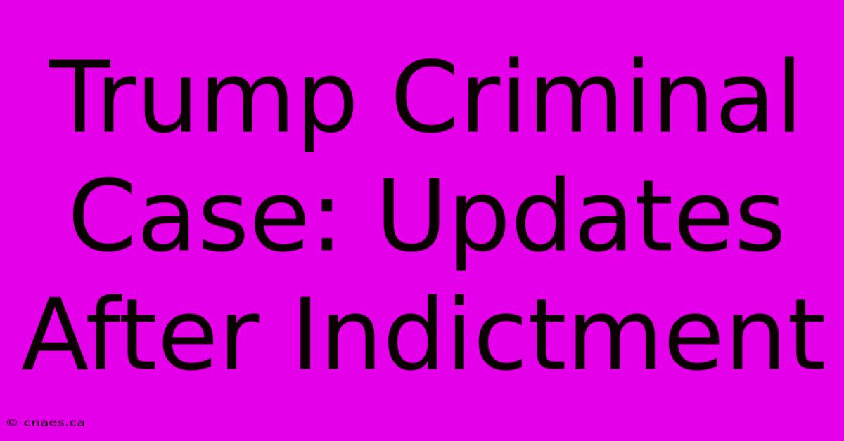 Trump Criminal Case: Updates After Indictment