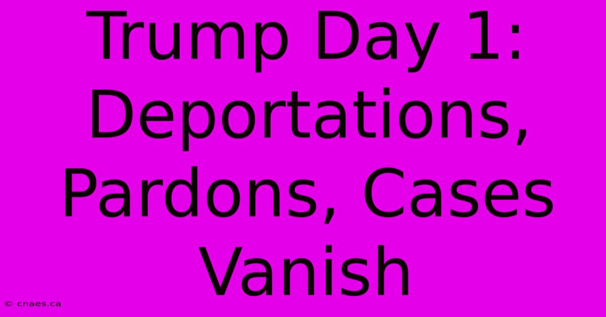 Trump Day 1: Deportations, Pardons, Cases Vanish