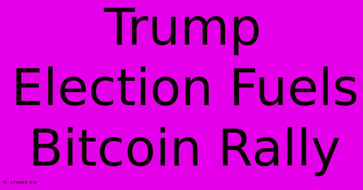 Trump Election Fuels Bitcoin Rally 