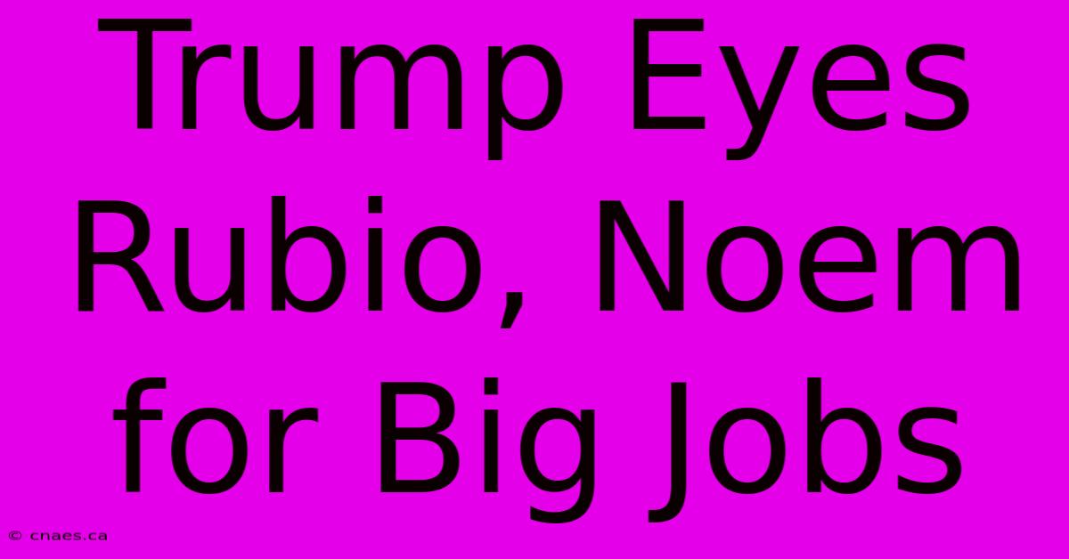 Trump Eyes Rubio, Noem For Big Jobs