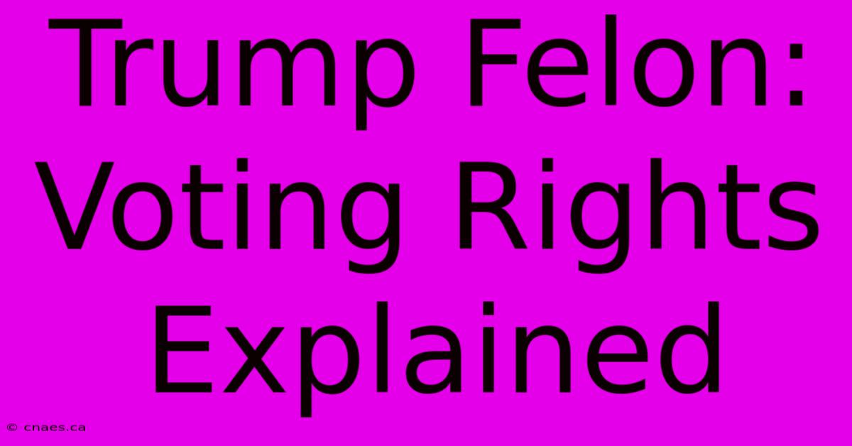 Trump Felon: Voting Rights Explained