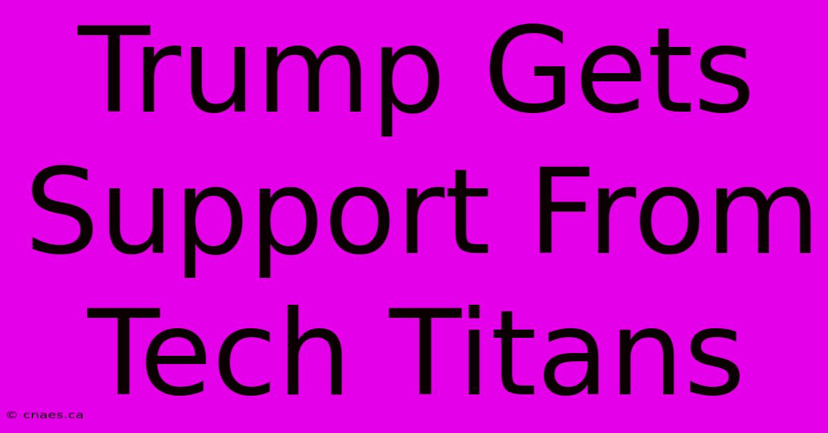 Trump Gets Support From Tech Titans