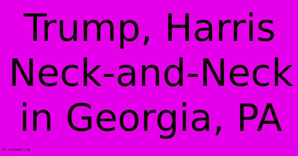 Trump, Harris Neck-and-Neck In Georgia, PA