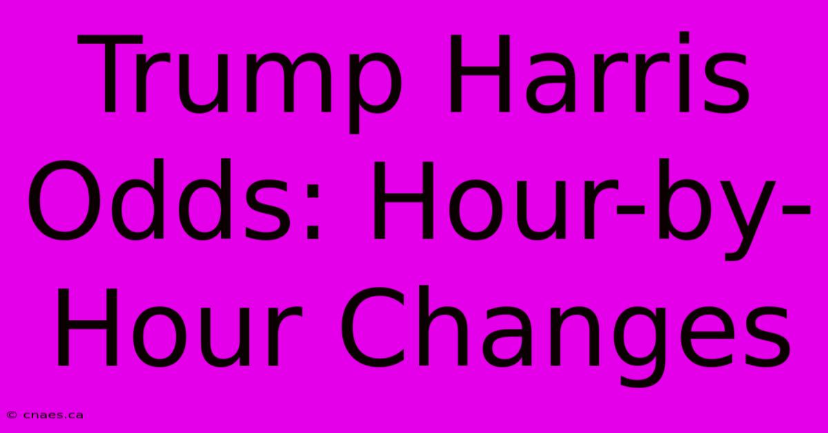 Trump Harris Odds: Hour-by-Hour Changes