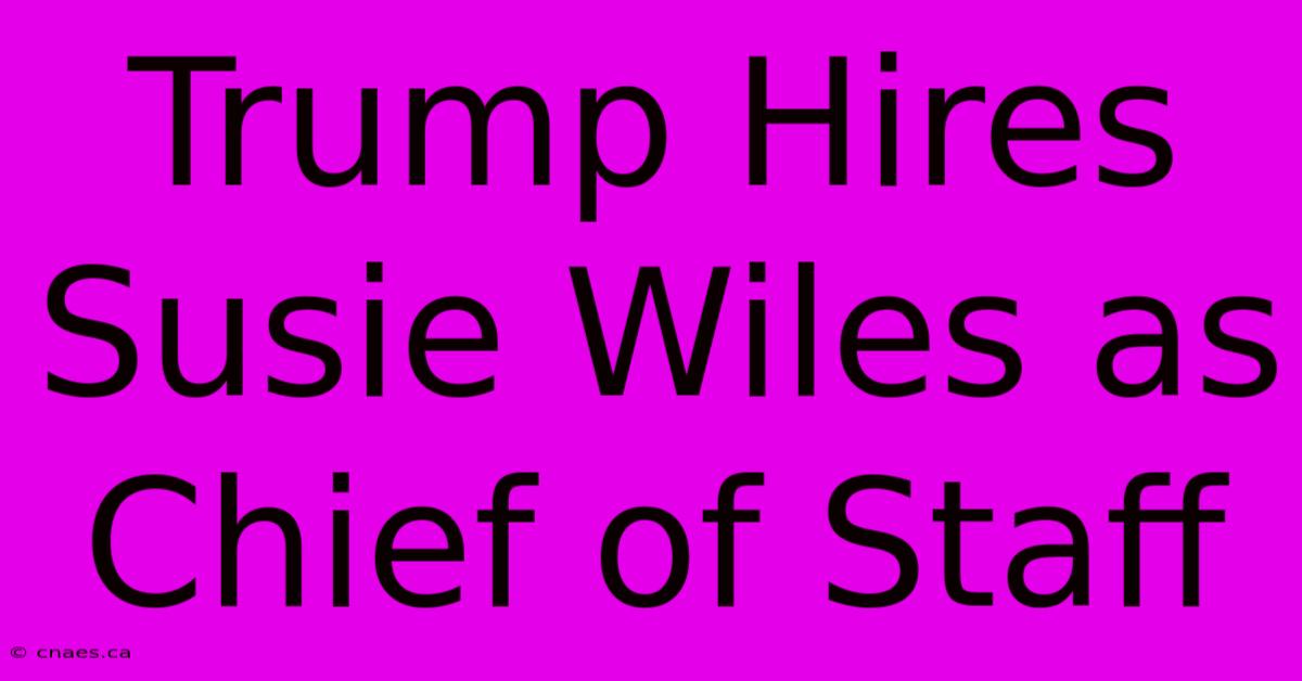 Trump Hires Susie Wiles As Chief Of Staff