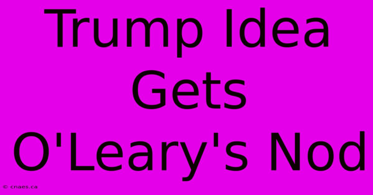 Trump Idea Gets O'Leary's Nod