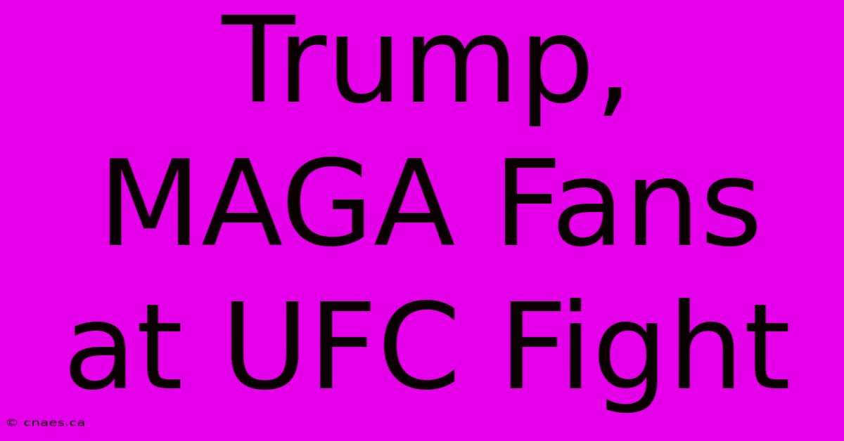 Trump, MAGA Fans At UFC Fight