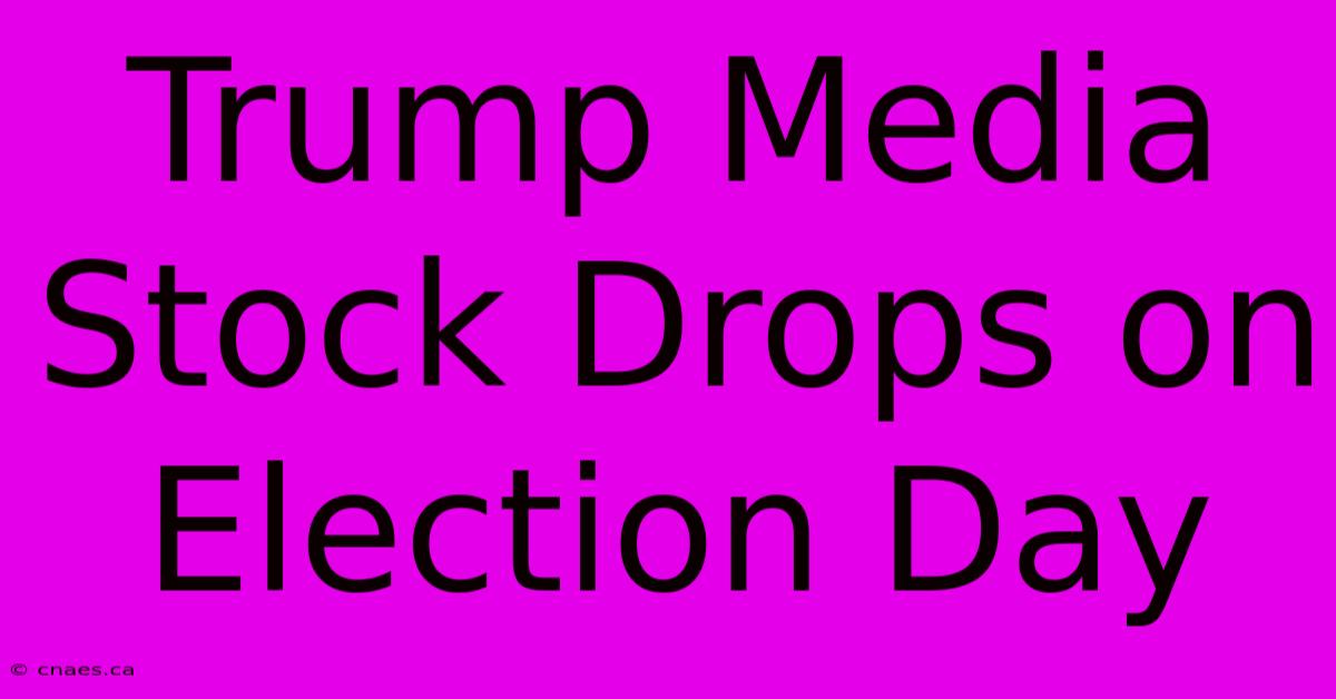 Trump Media Stock Drops On Election Day 