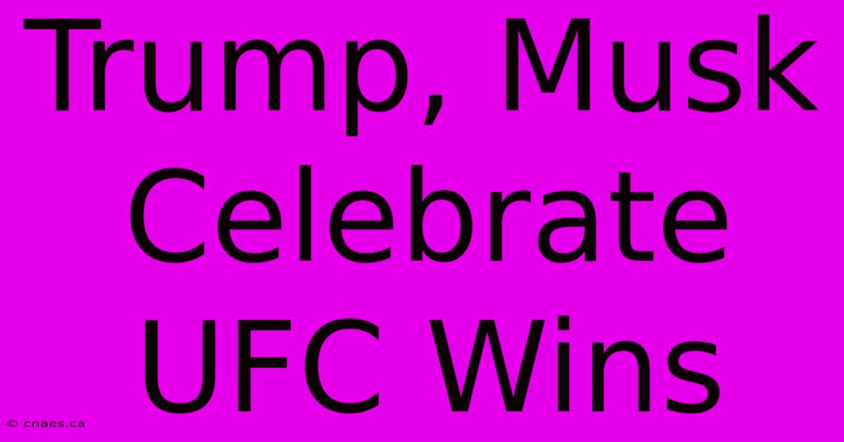 Trump, Musk Celebrate UFC Wins