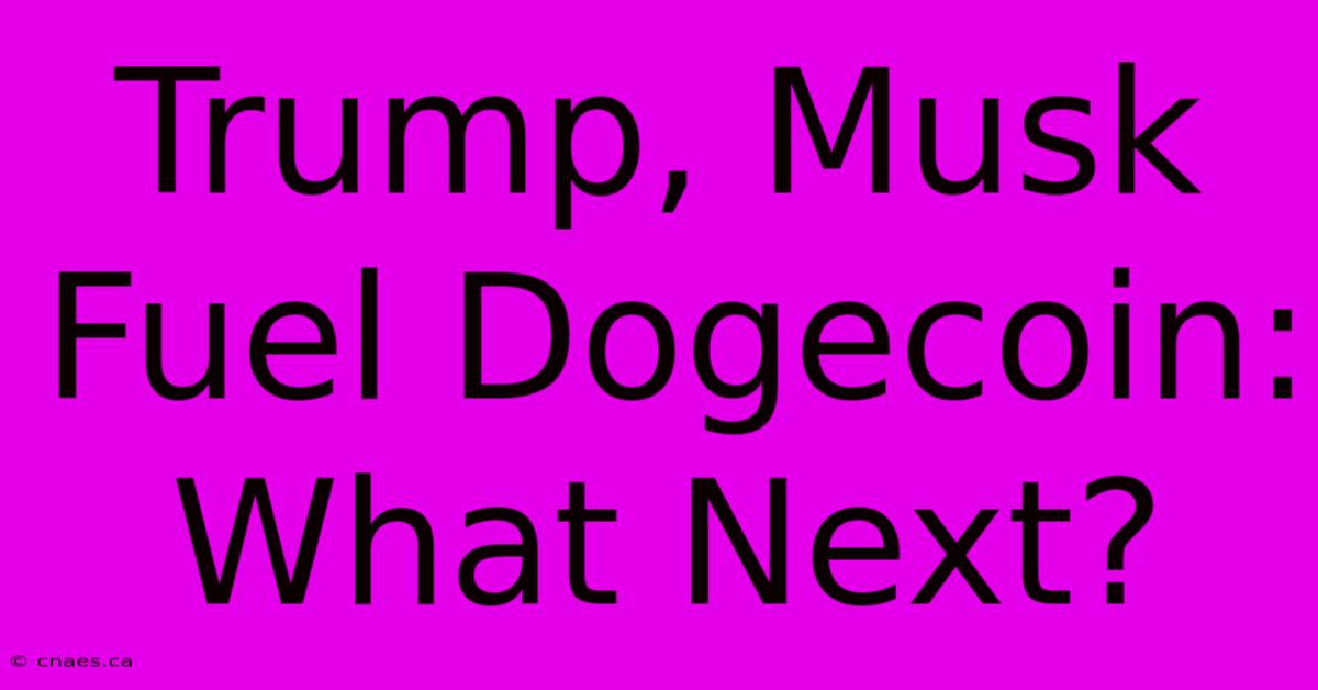 Trump, Musk Fuel Dogecoin: What Next? 