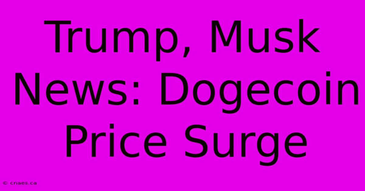 Trump, Musk News: Dogecoin Price Surge