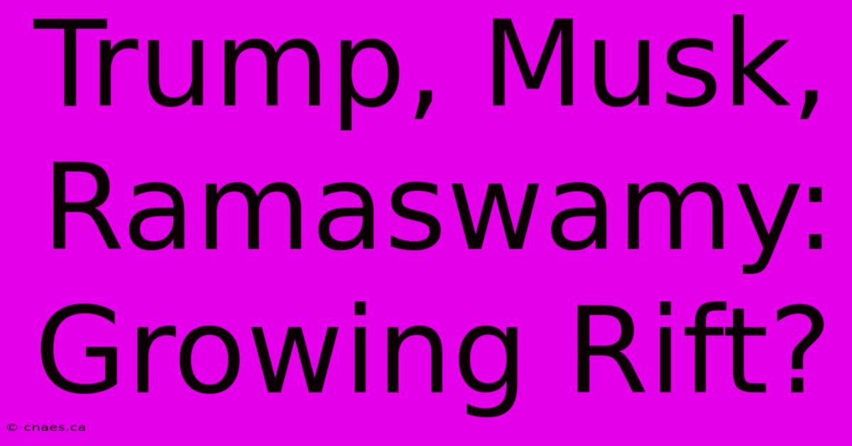 Trump, Musk, Ramaswamy: Growing Rift?