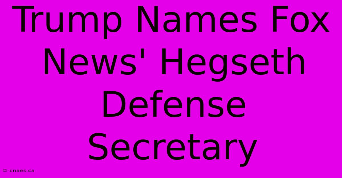 Trump Names Fox News' Hegseth Defense Secretary