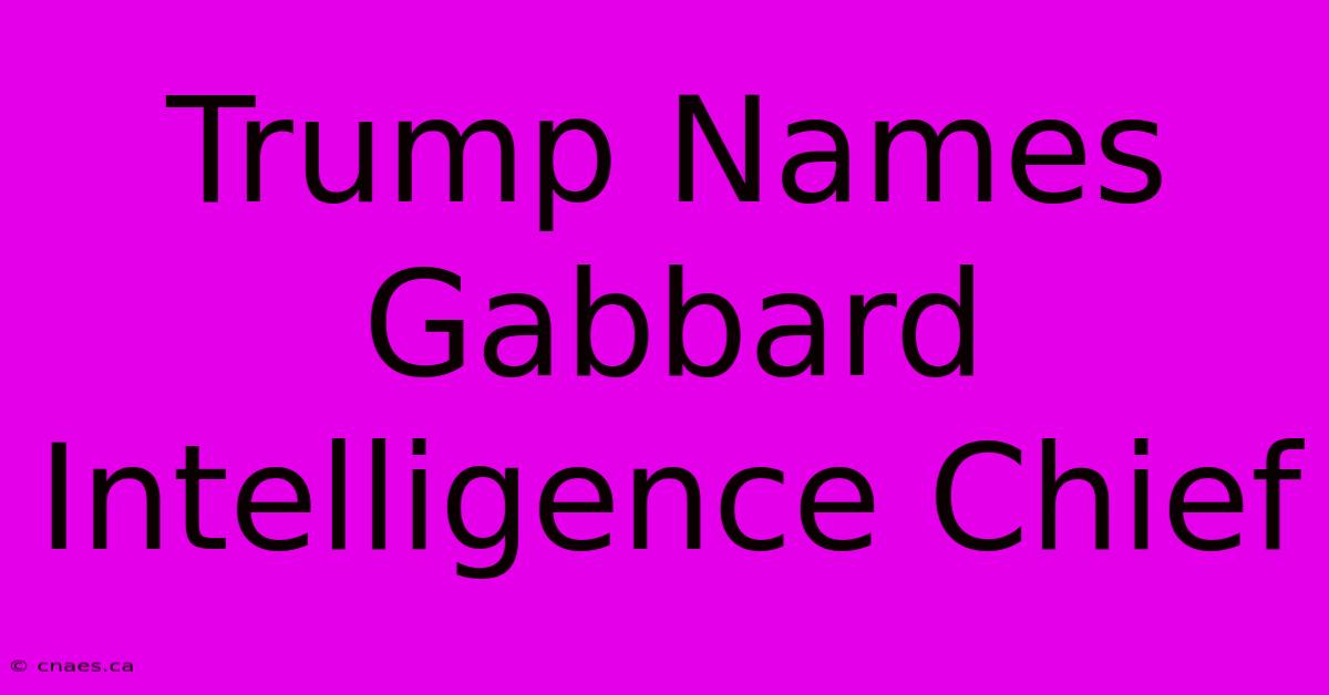 Trump Names Gabbard Intelligence Chief