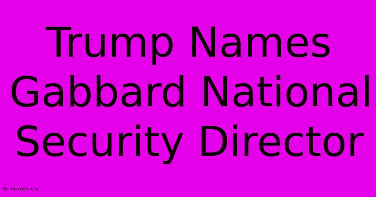 Trump Names Gabbard National Security Director 