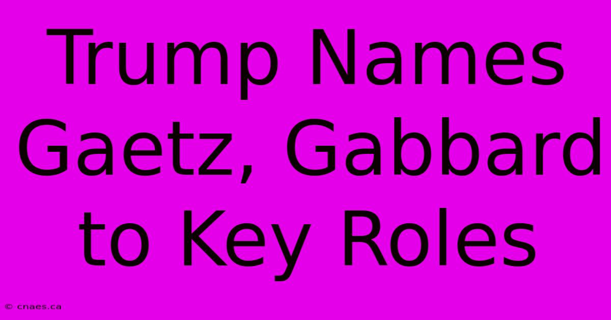 Trump Names Gaetz, Gabbard To Key Roles