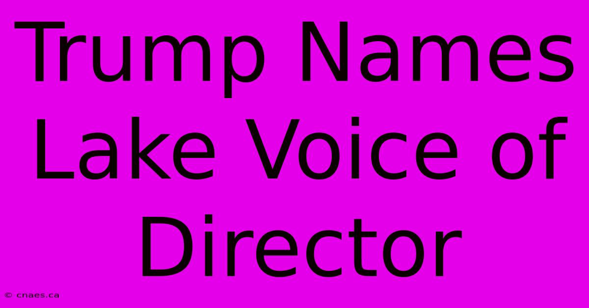 Trump Names Lake Voice Of Director