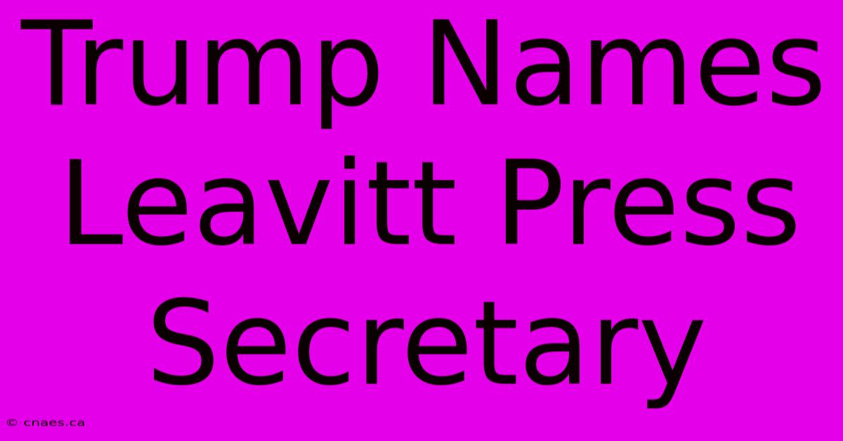 Trump Names Leavitt Press Secretary