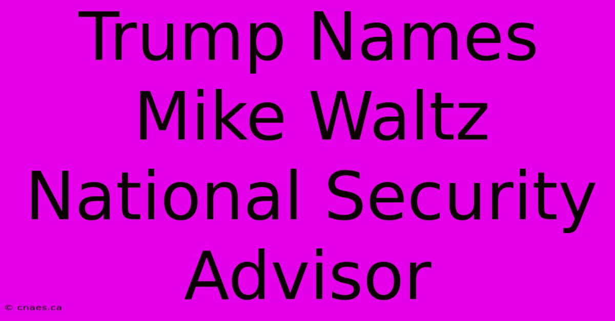 Trump Names Mike Waltz National Security Advisor