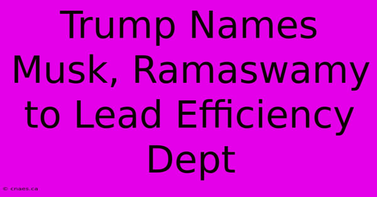 Trump Names Musk, Ramaswamy To Lead Efficiency Dept