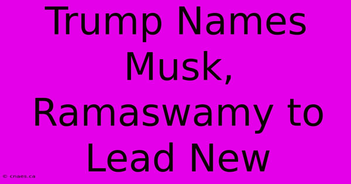 Trump Names Musk, Ramaswamy To Lead New