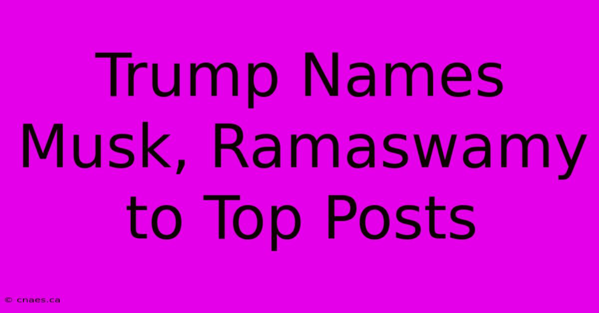 Trump Names Musk, Ramaswamy To Top Posts 