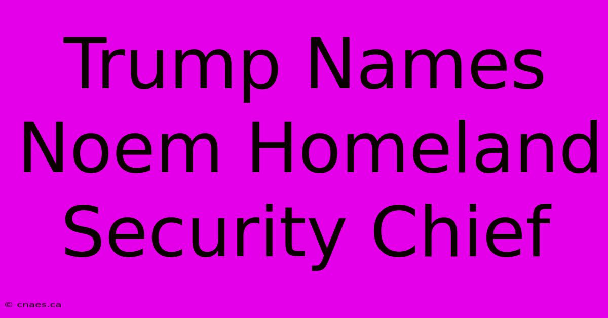 Trump Names Noem Homeland Security Chief