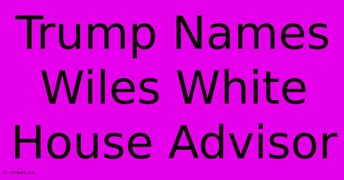 Trump Names Wiles White House Advisor