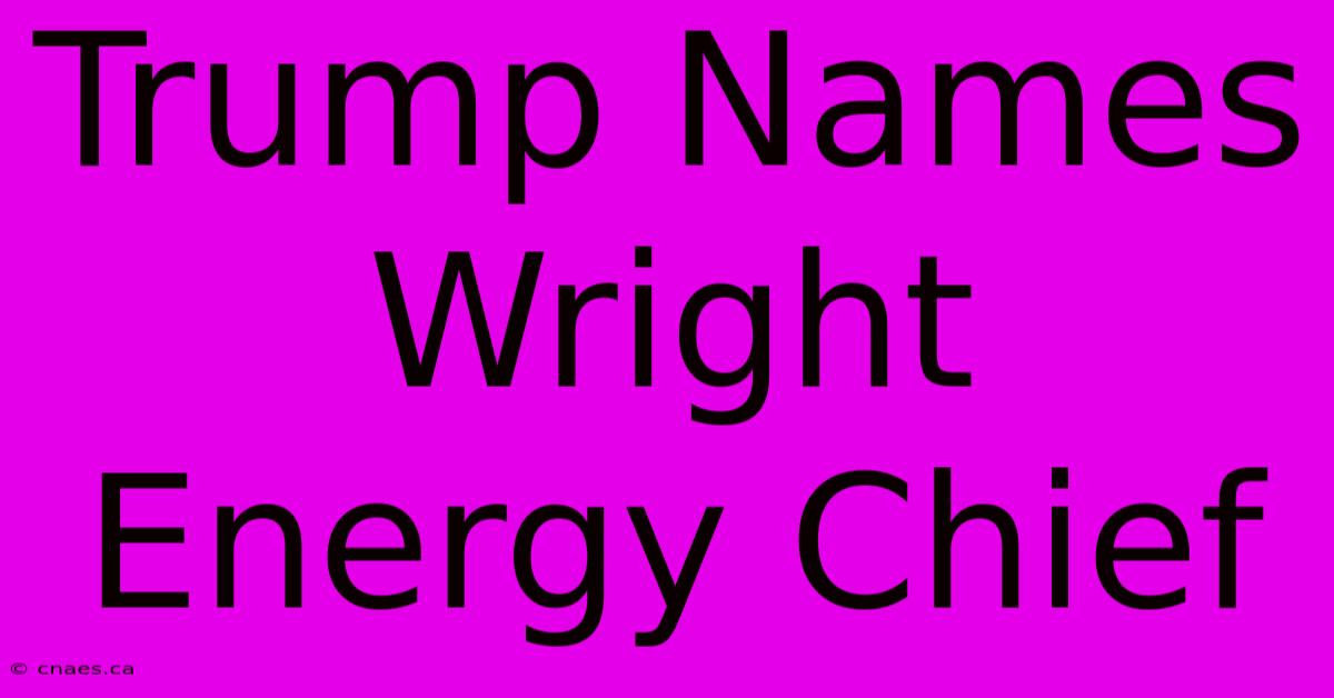 Trump Names Wright Energy Chief