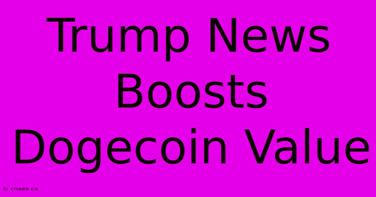 Trump News Boosts Dogecoin Value