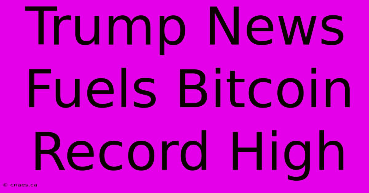 Trump News Fuels Bitcoin Record High