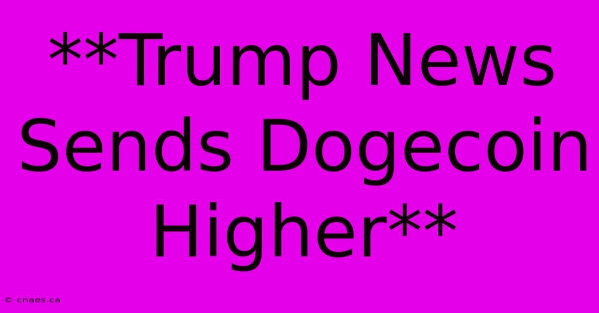 **Trump News Sends Dogecoin Higher**