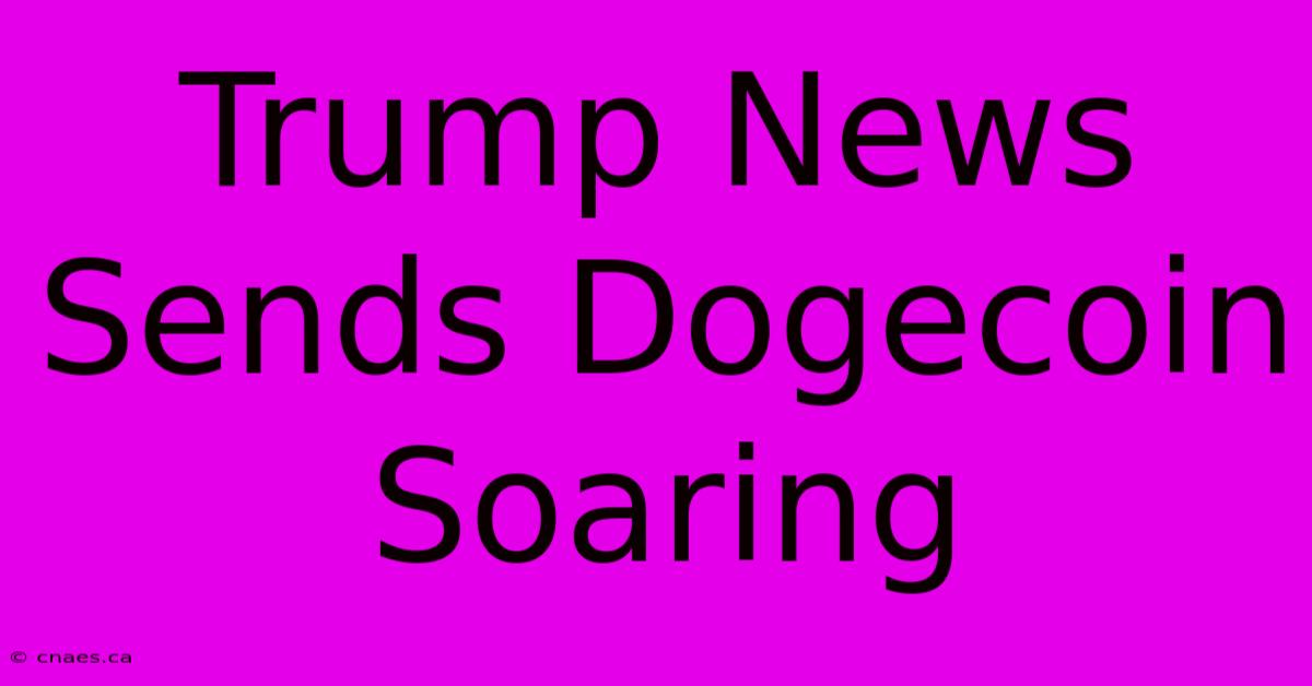 Trump News Sends Dogecoin Soaring