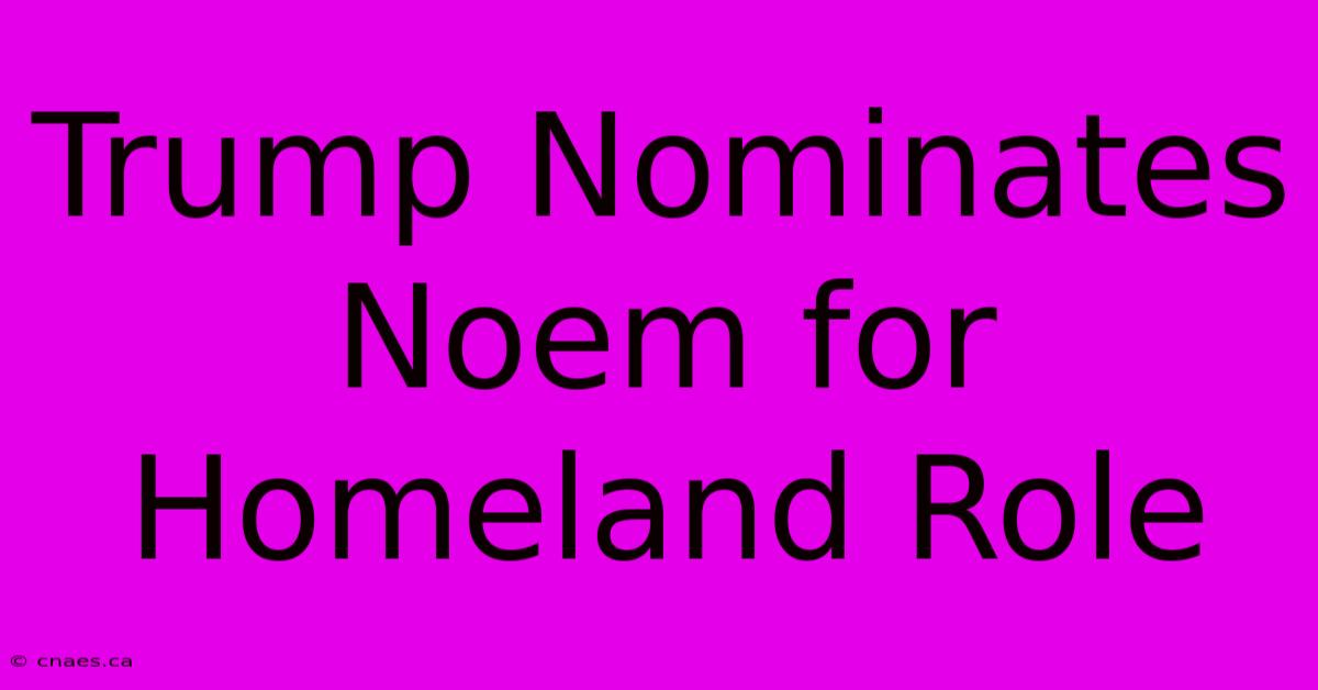 Trump Nominates Noem For Homeland Role 