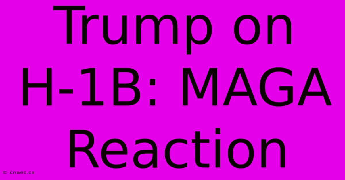 Trump On H-1B: MAGA Reaction