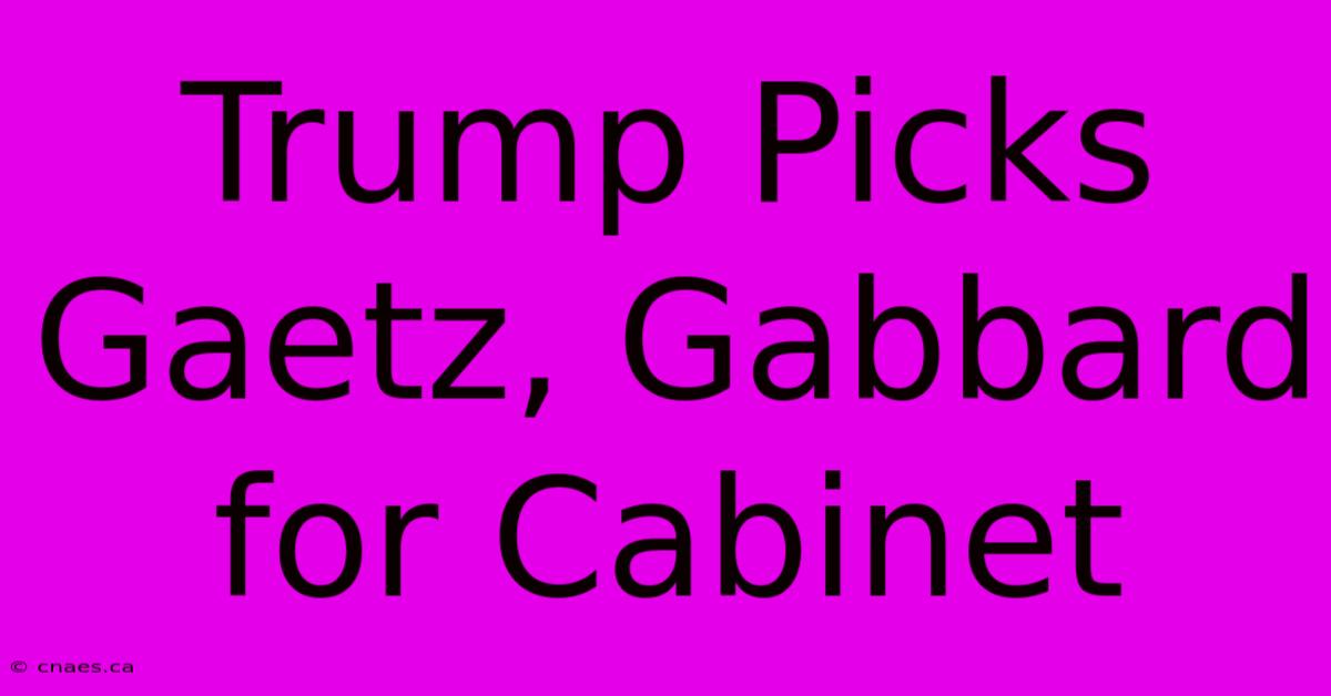 Trump Picks Gaetz, Gabbard For Cabinet