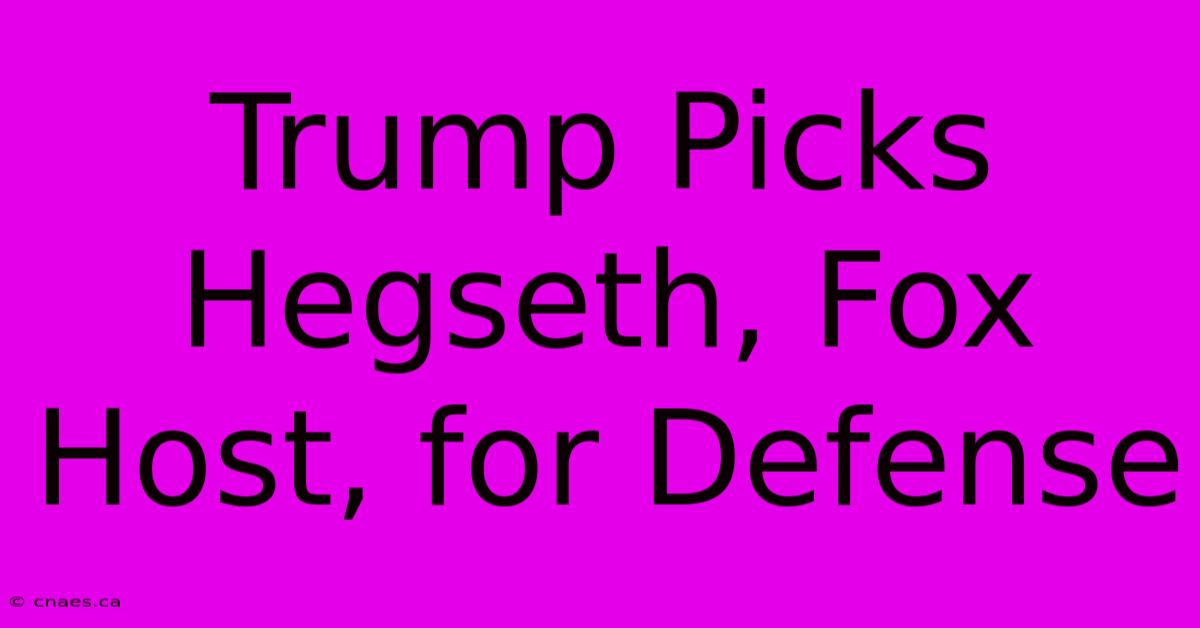 Trump Picks Hegseth, Fox Host, For Defense 