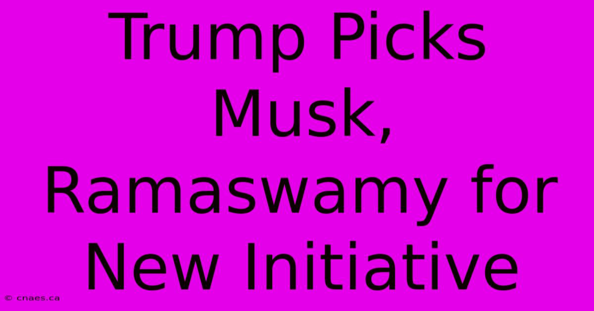 Trump Picks Musk, Ramaswamy For New Initiative