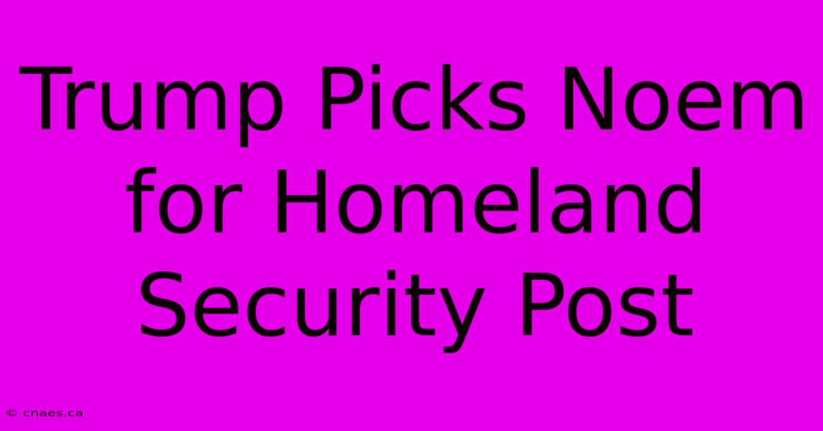 Trump Picks Noem For Homeland Security Post 