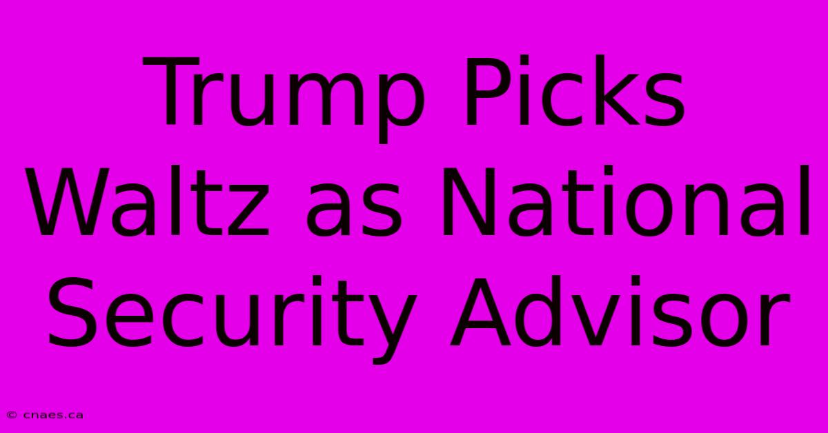 Trump Picks Waltz As National Security Advisor 