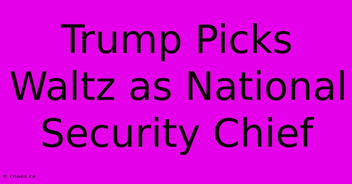 Trump Picks Waltz As National Security Chief