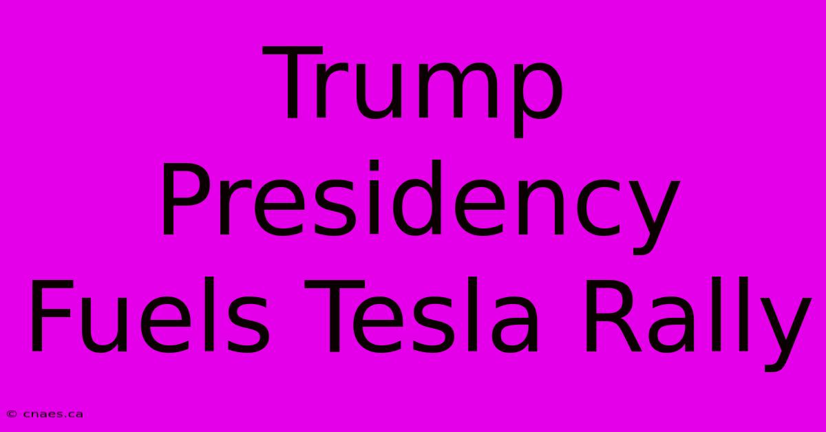 Trump Presidency Fuels Tesla Rally