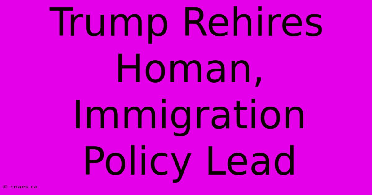 Trump Rehires Homan, Immigration Policy Lead 