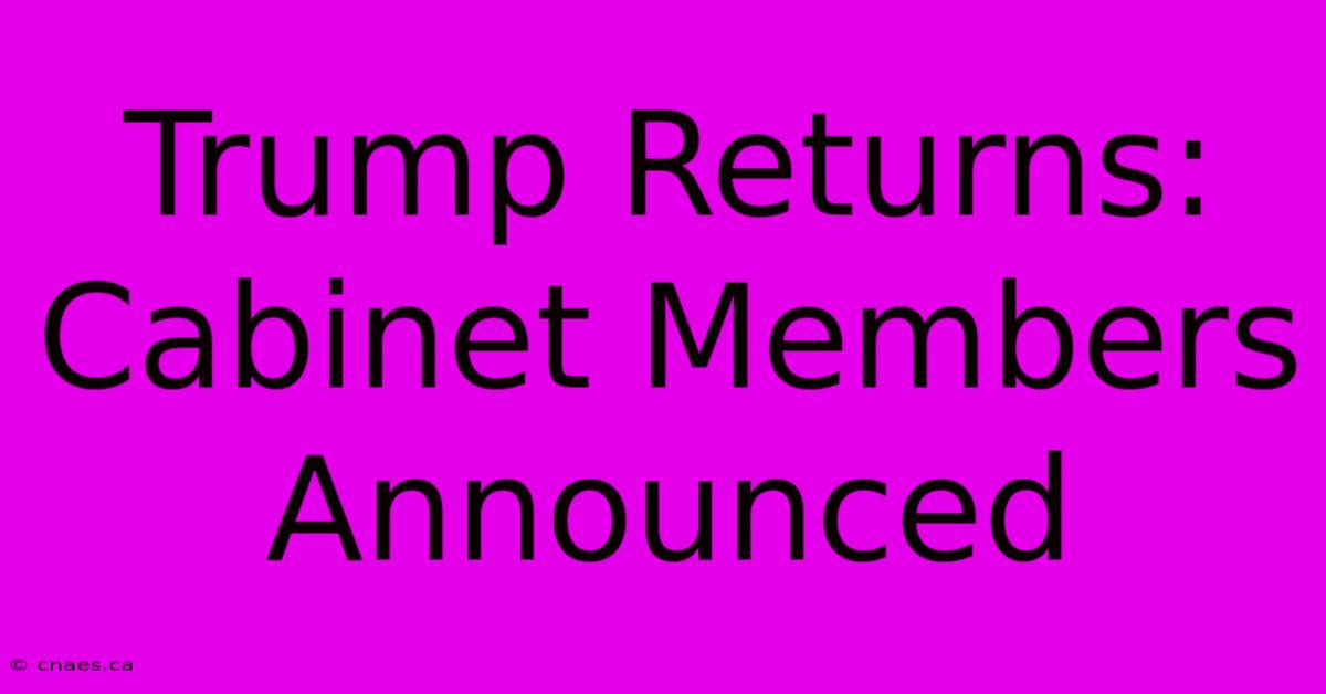 Trump Returns: Cabinet Members Announced