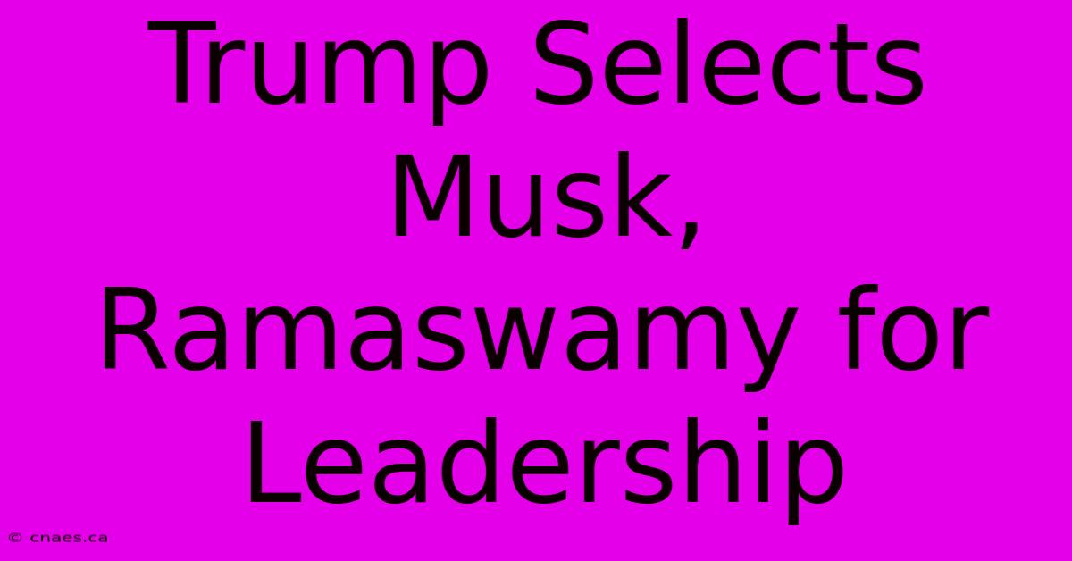 Trump Selects Musk, Ramaswamy For Leadership