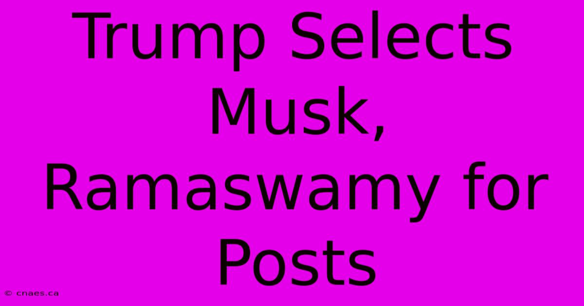 Trump Selects Musk, Ramaswamy For Posts