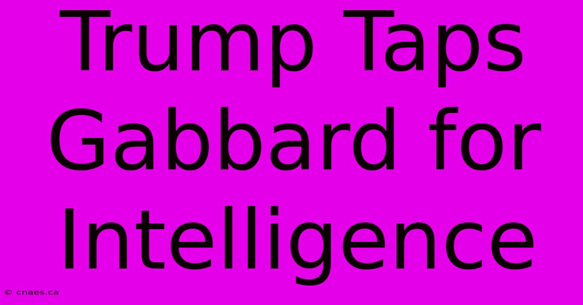 Trump Taps Gabbard For Intelligence