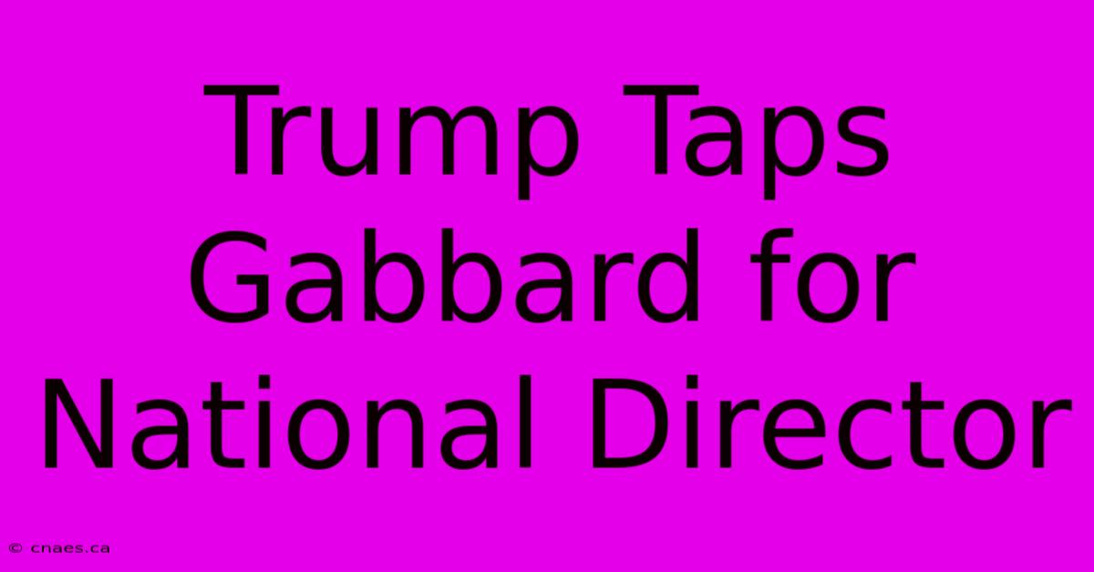 Trump Taps Gabbard For National Director