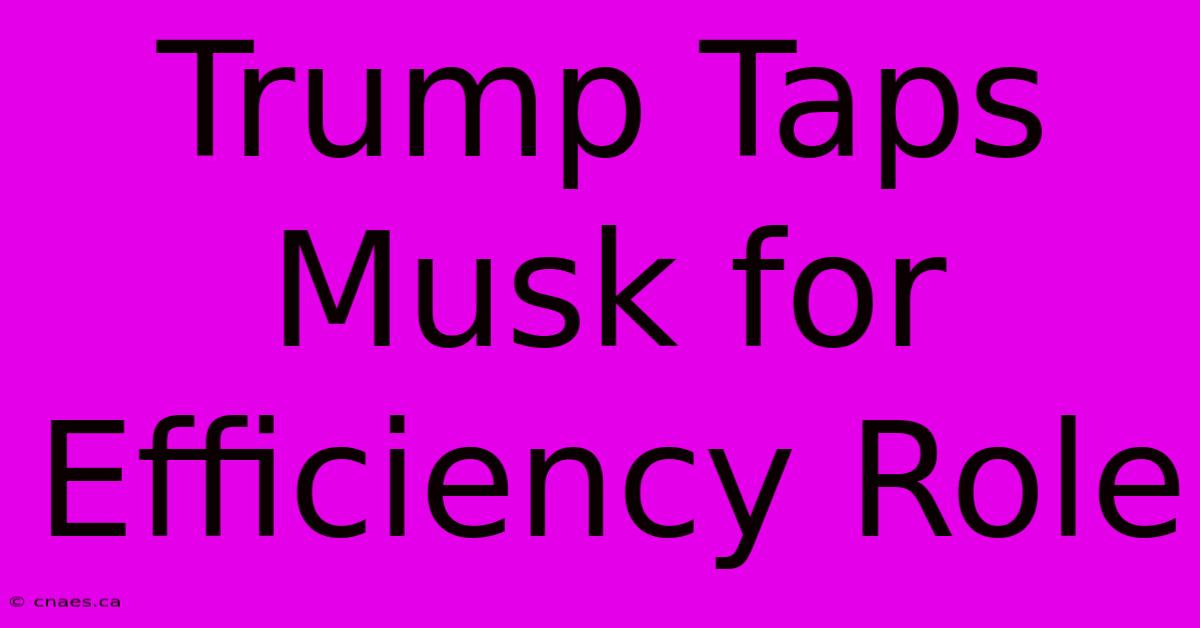 Trump Taps Musk For Efficiency Role