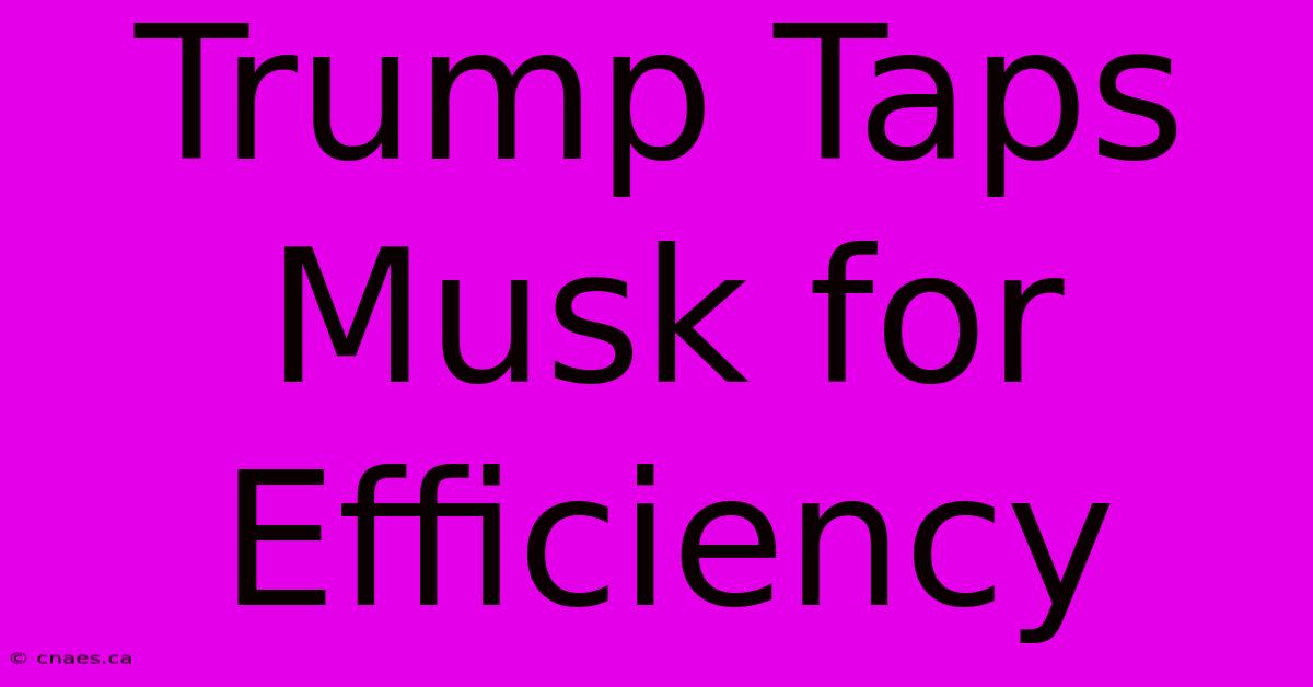 Trump Taps Musk For Efficiency